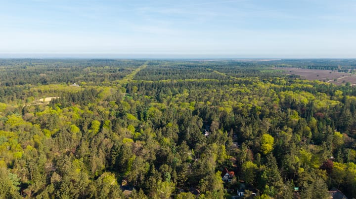 Foto 53 van Torenweg 17