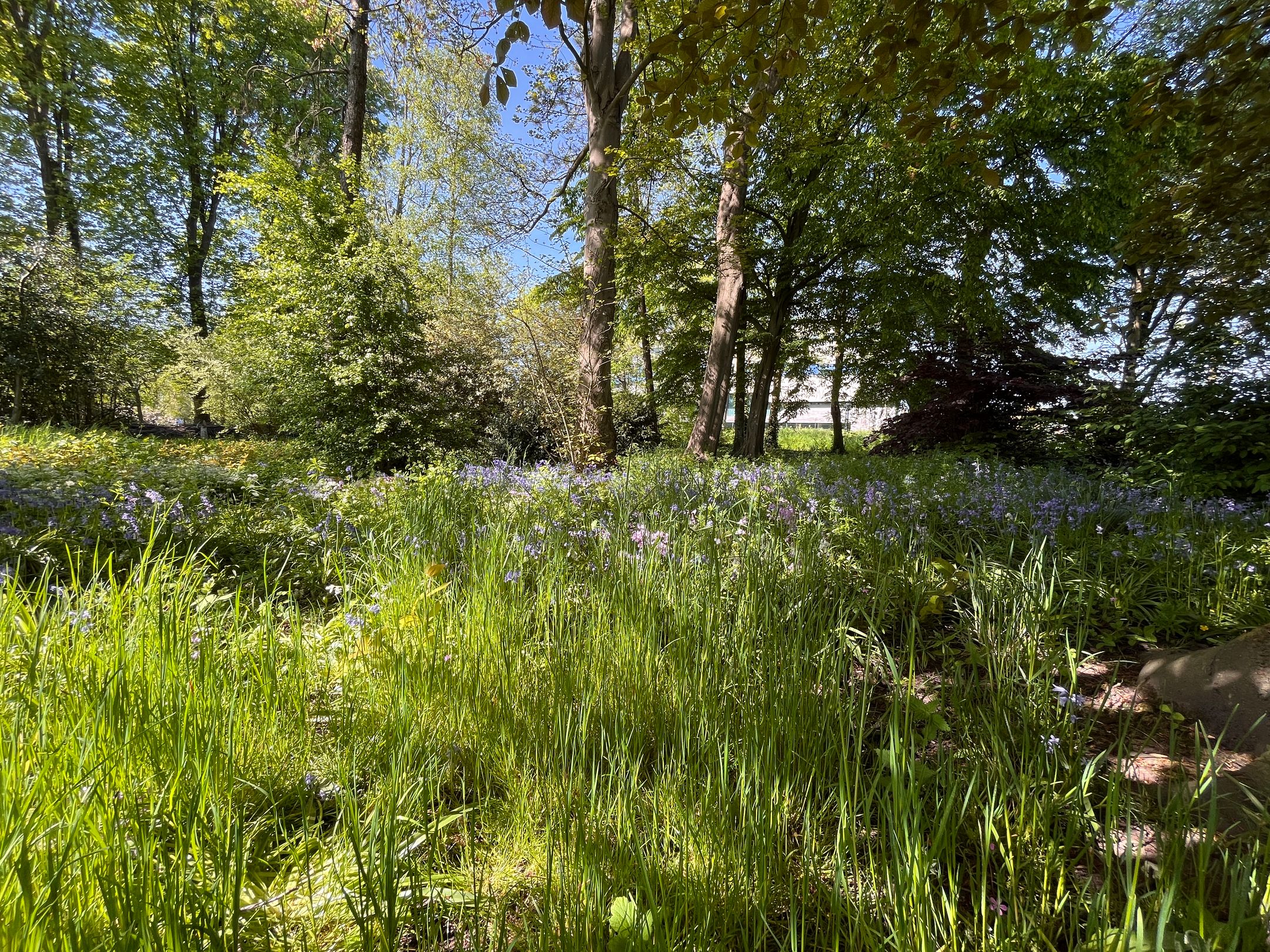 Foto 21 van Kruitmolen 23