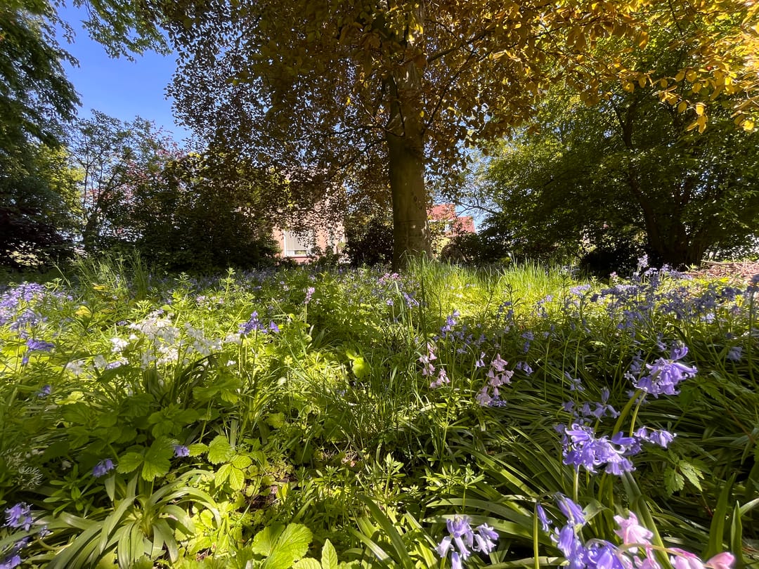 Foto 22 van Kruitmolen 23