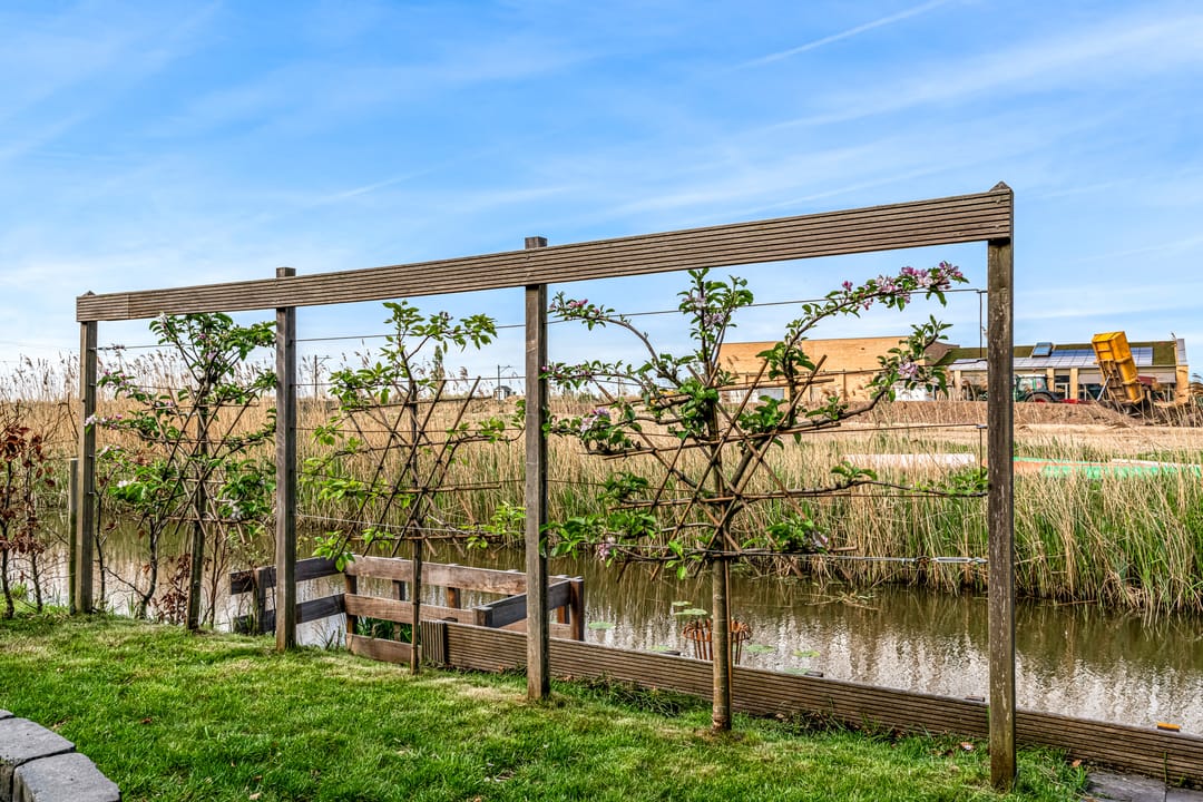 Foto 41 van Hoefsmid 11