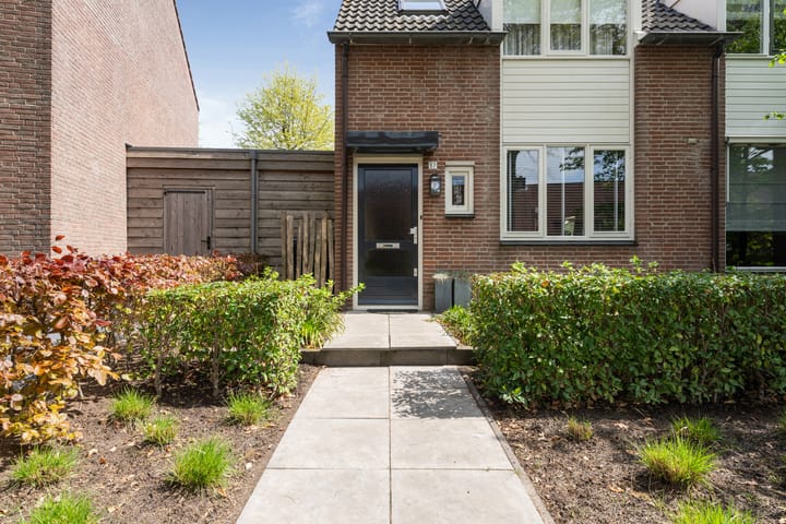 Foto 5 van Houtduif 37