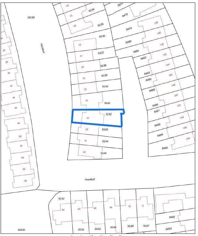 Foto 60 van Houtduif 37