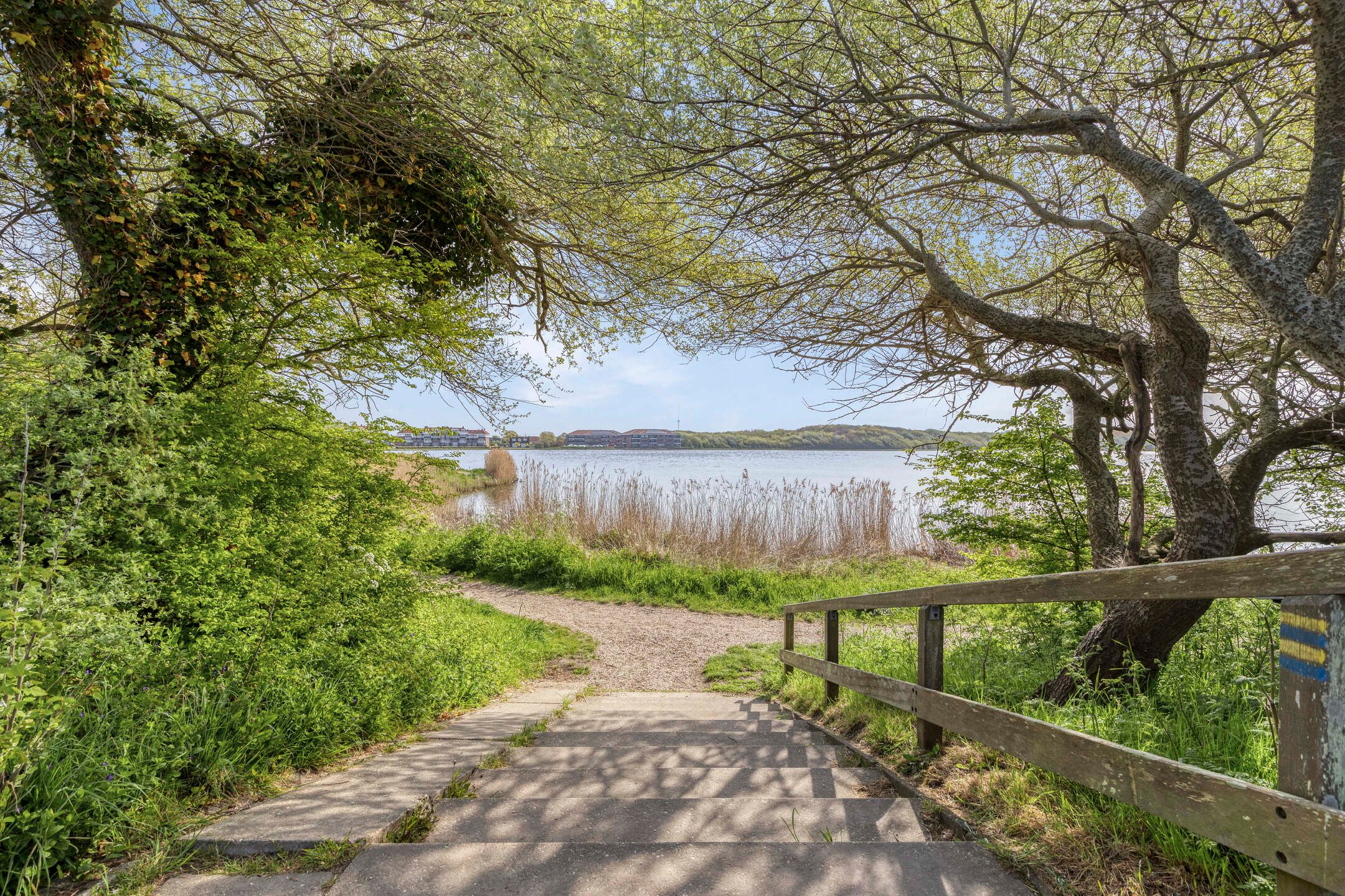 Foto 30 van Jakob Brasserstraat 35