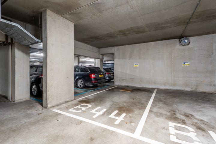 Foto 25 van Buxusplaats 75