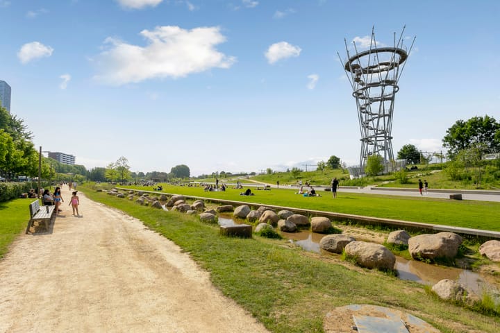 Foto 30 van Buxusplaats 75