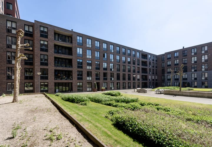 Foto 1 van Buxusplaats 75