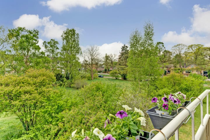 Foto 24 van Mezenlaan 75