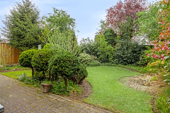 Foto 22 van Struisgras 22