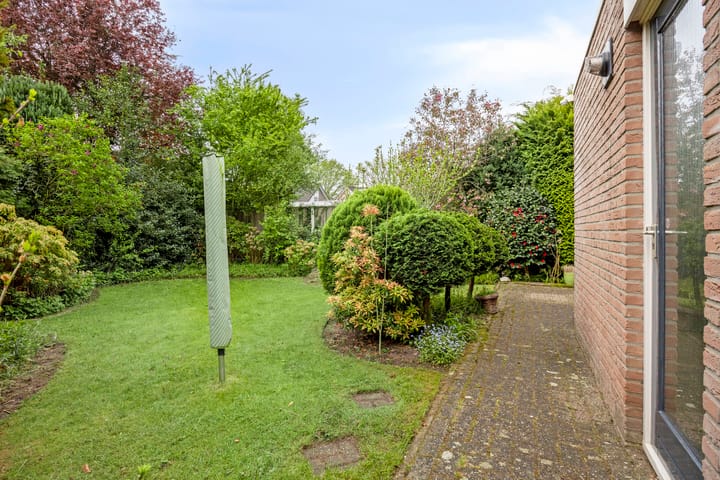 Foto 23 van Struisgras 22