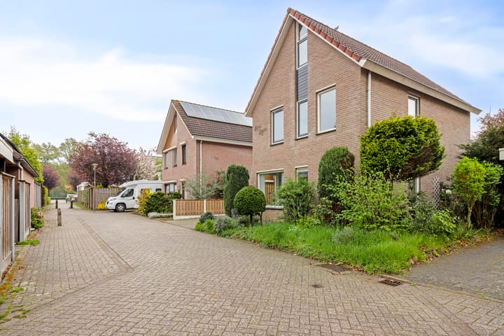 Foto 25 van Struisgras 22