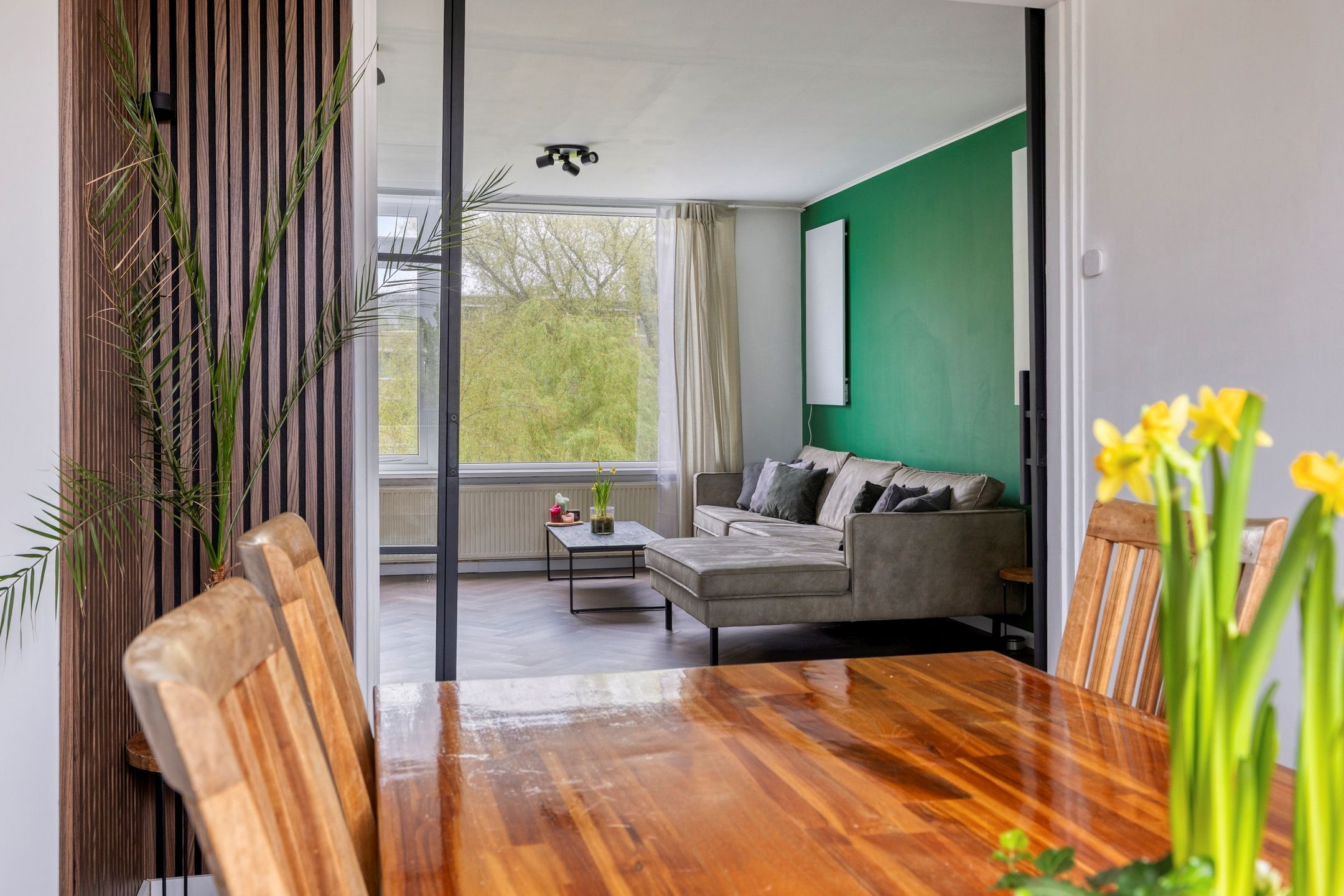 Foto 12 van Hora Siccamasingel 101