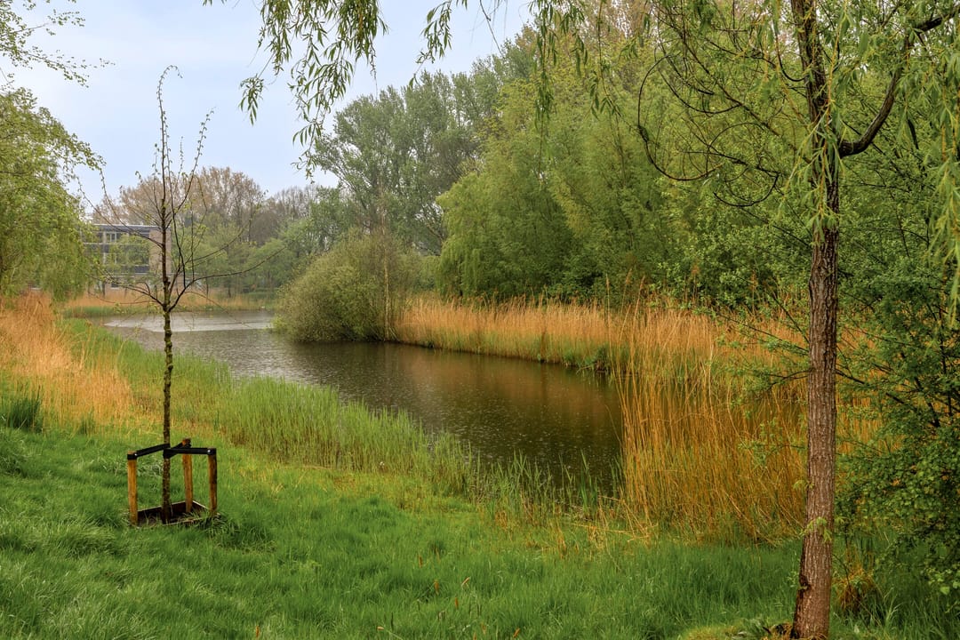 Foto 26 van Hora Siccamasingel 101