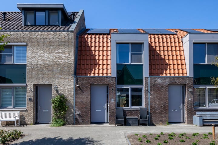 Foto 2 van Boterbloem 20