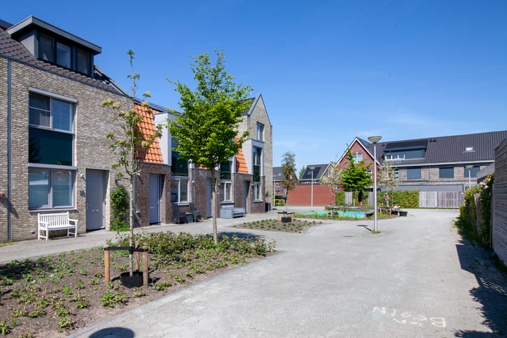 Foto 37 van Boterbloem 20