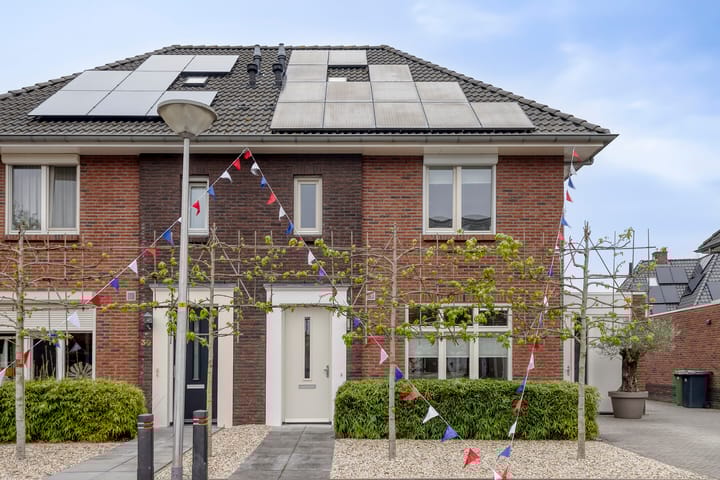 Paardebloem 28