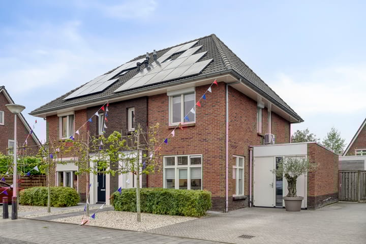 Foto 2 van Paardebloem 28