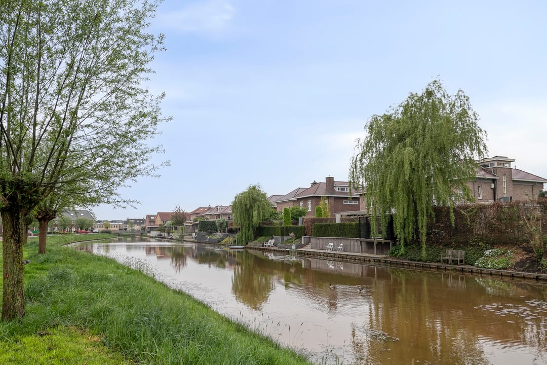 Foto 43 van Paardebloem 28