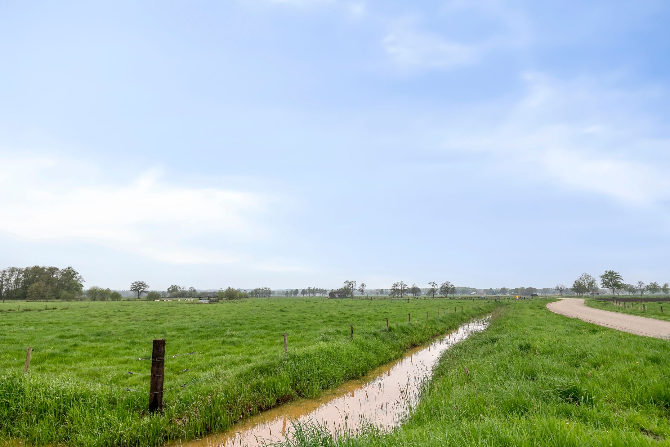 Foto 45 van Paardebloem 28