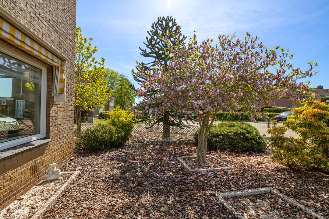 Foto 2 van Harm Smeengestraat 25