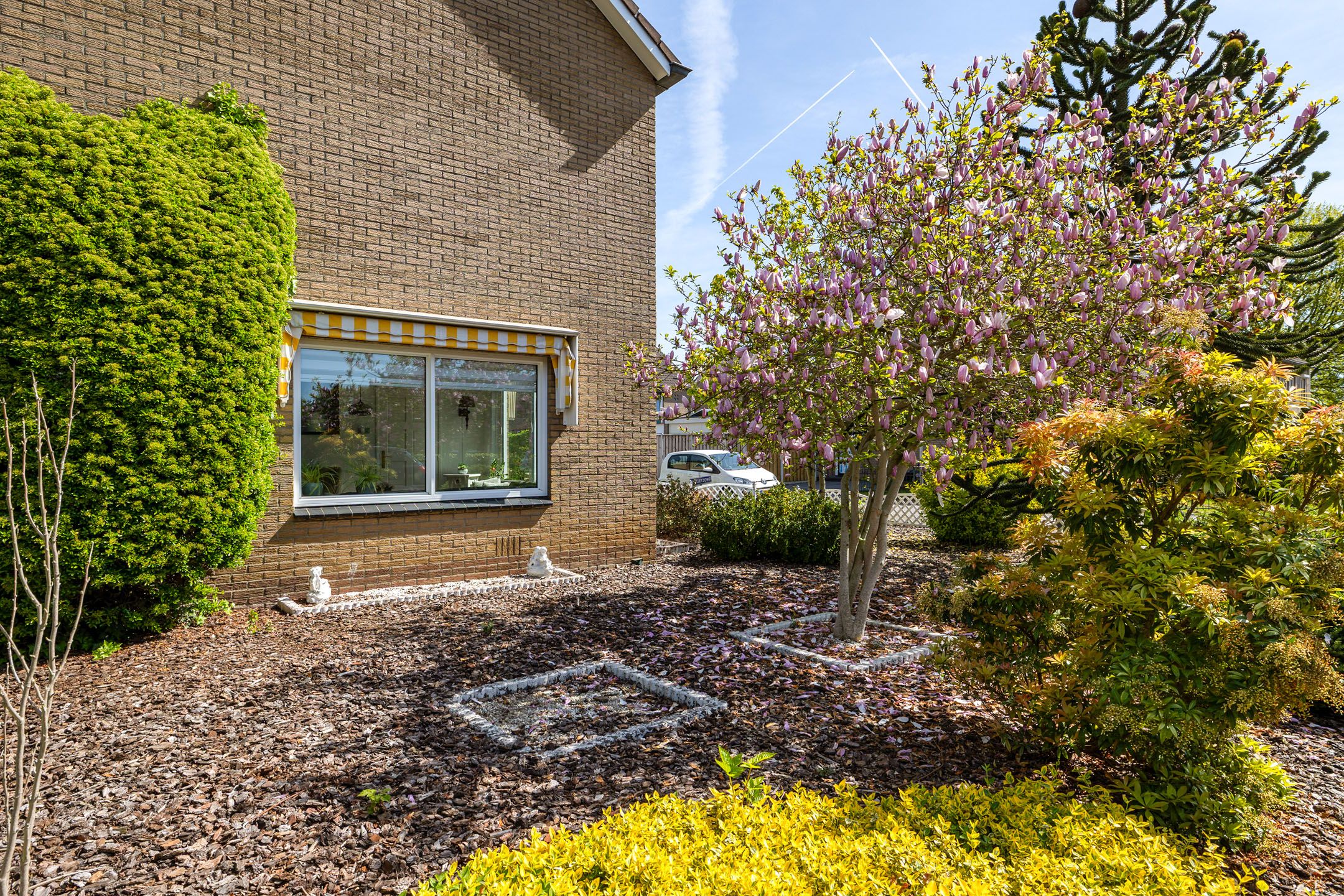 Foto 3 van Harm Smeengestraat 25