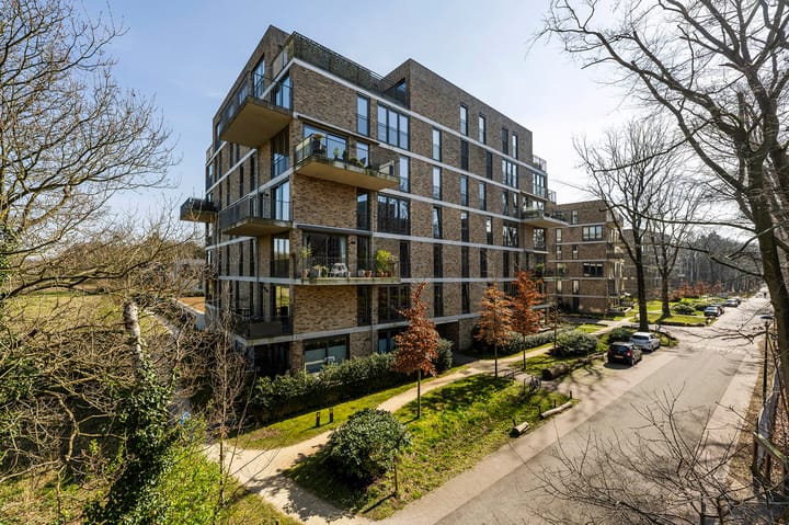 Foto 1 van Dopheidelaan 102