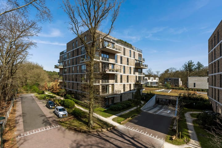 Foto 2 van Dopheidelaan 102