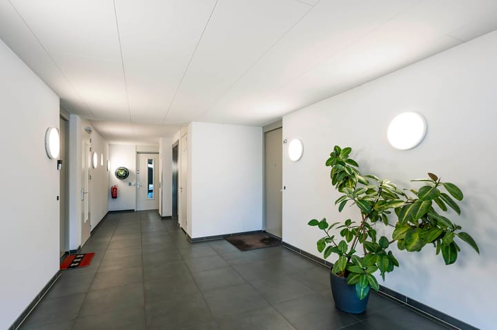 Foto 5 van Dopheidelaan 102