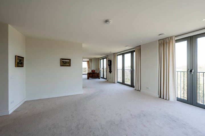 Foto 12 van Dopheidelaan 102