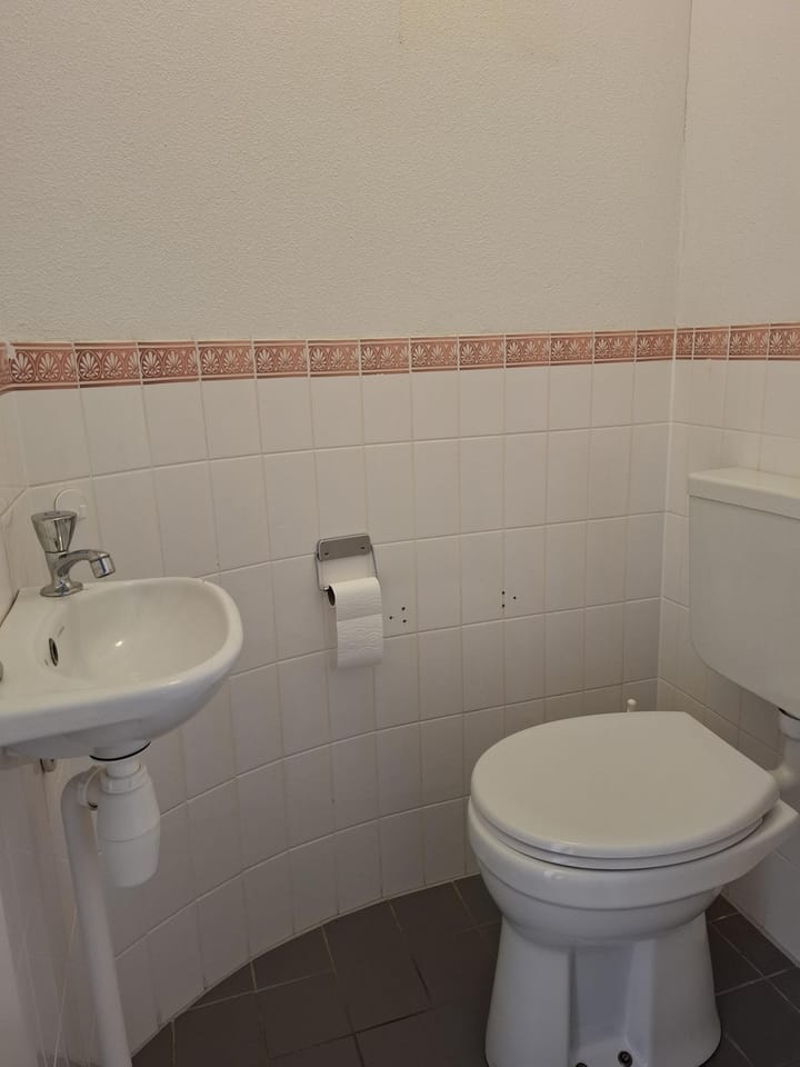 Foto 6 van Platte Driedijk 73