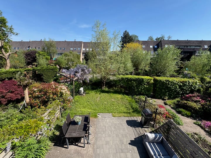 Foto 7 van Libellenveld 9