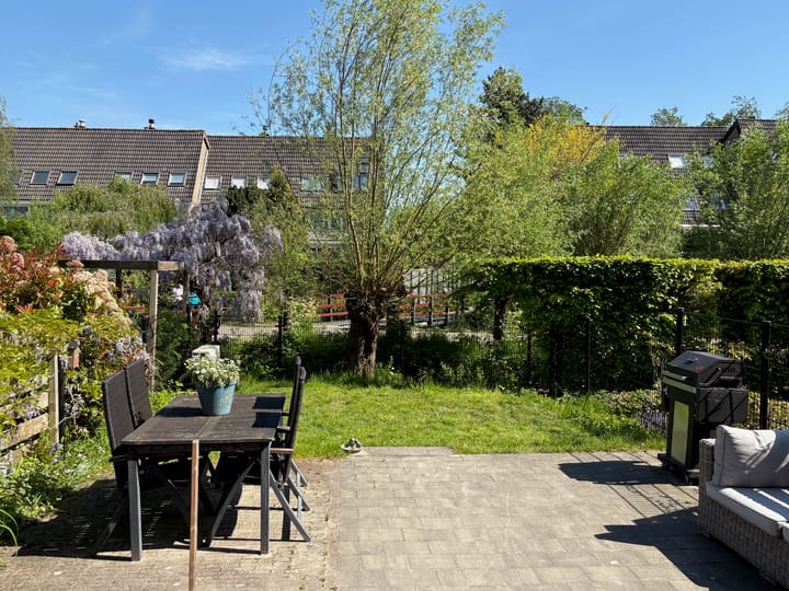 Foto 8 van Libellenveld 9