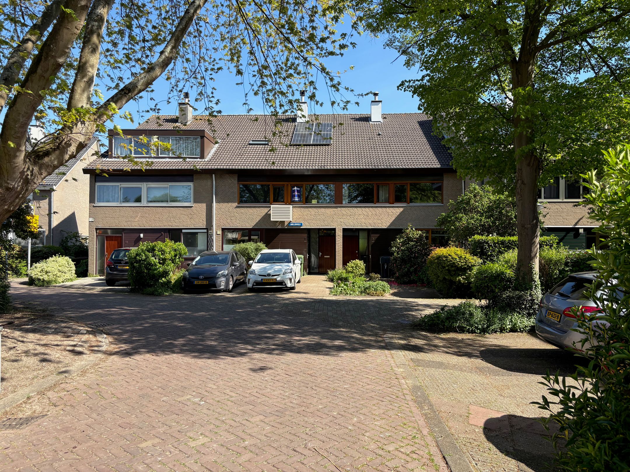 Photo 9 of Libellenveld 9