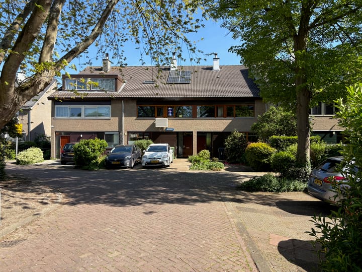 Foto 9 van Libellenveld 9