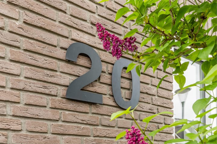 Foto 3 van Rietveen 20