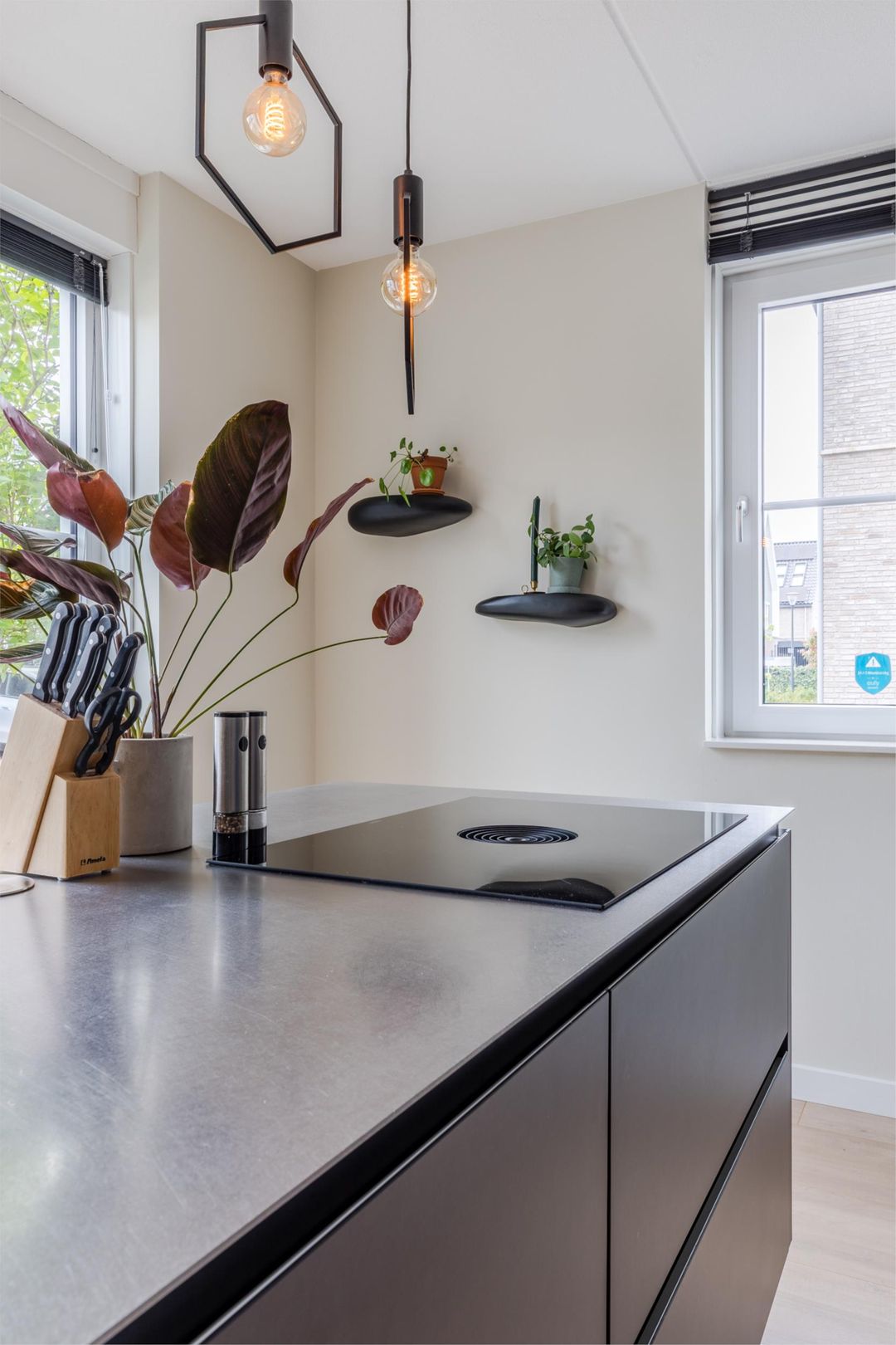 Foto 16 van Rietveen 20