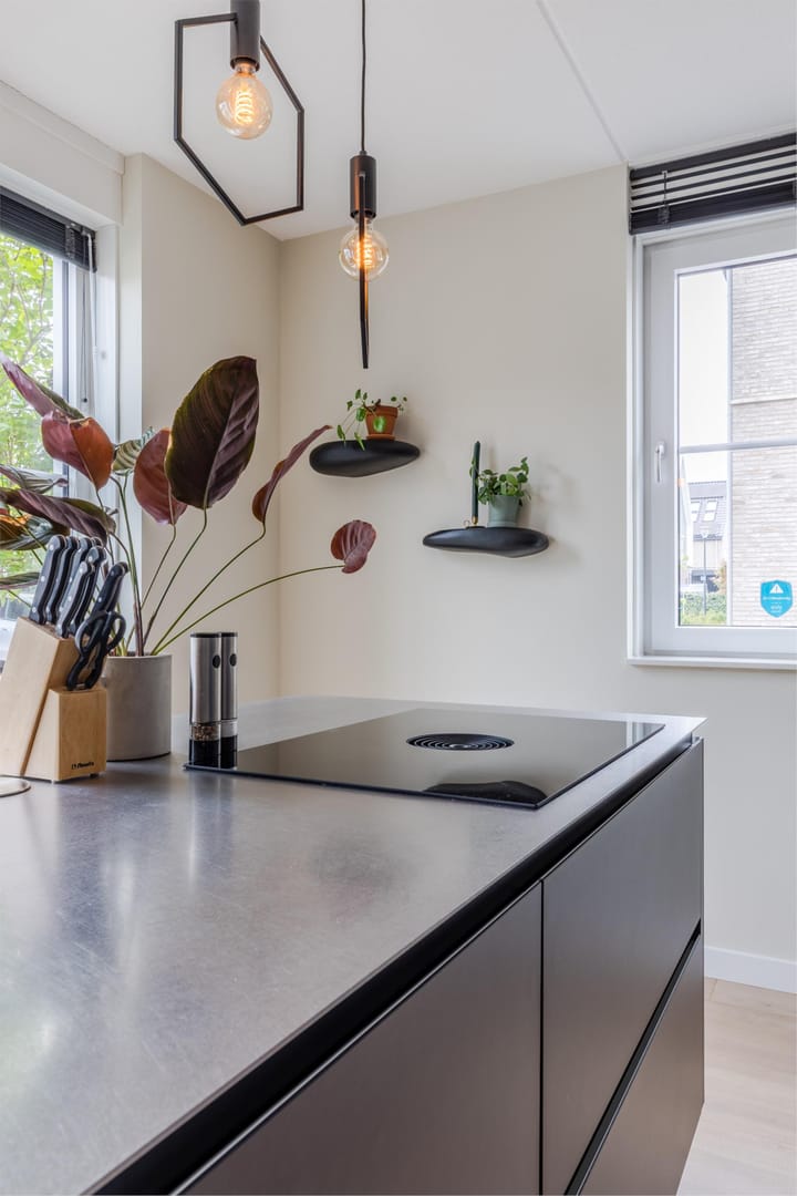 Foto 16 van Rietveen 20