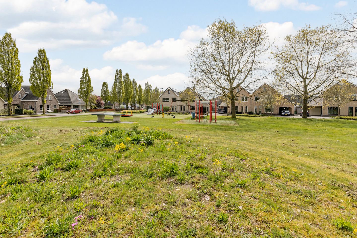 Photo 59 of Vechtland 4