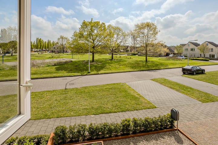 Foto 61 van Vechtland 4