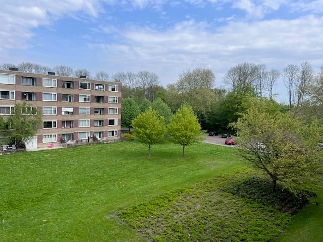 Photo 3 of Fluitekruidweg 154