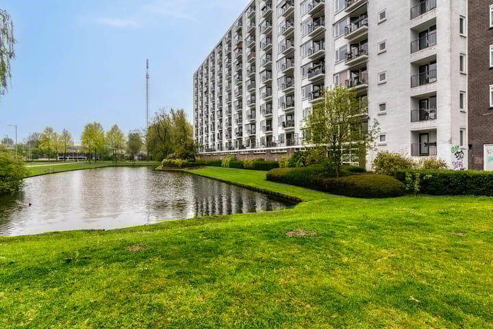 Foto 18 van Suze Groeneweglaan 125