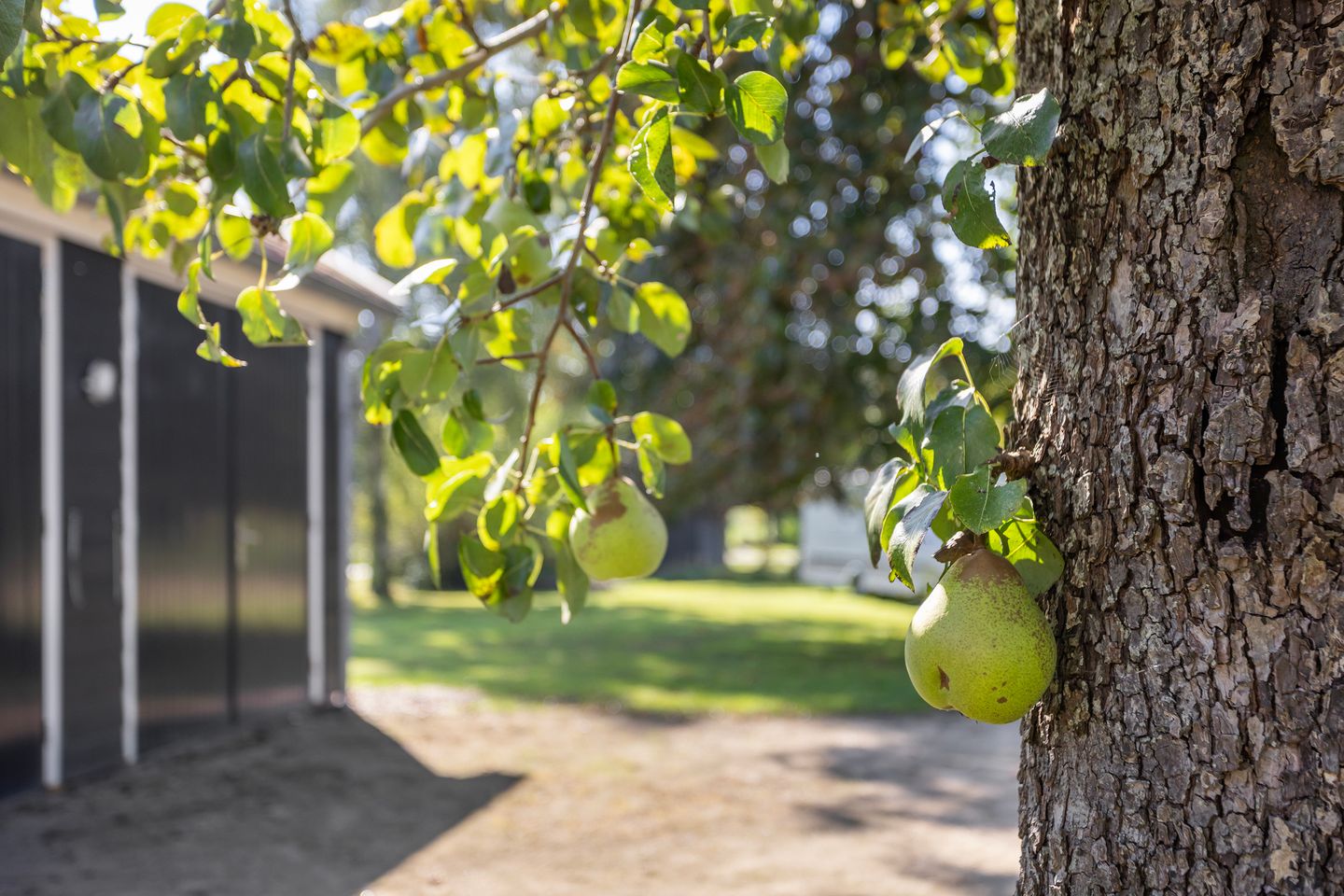 Foto 29 van Zwiepseweg 148