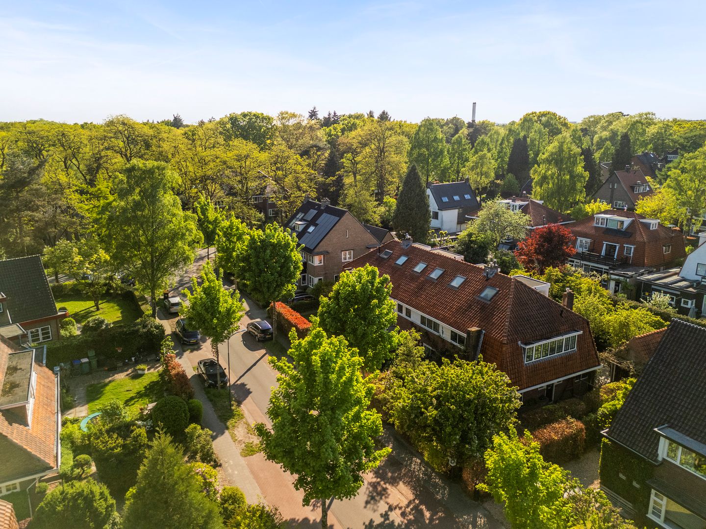 Foto 50 van Parklaan 11