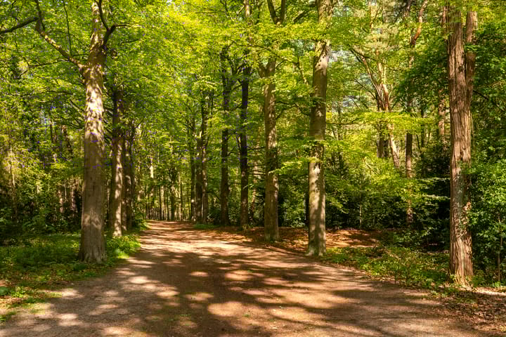 Foto 51 van Parklaan 11