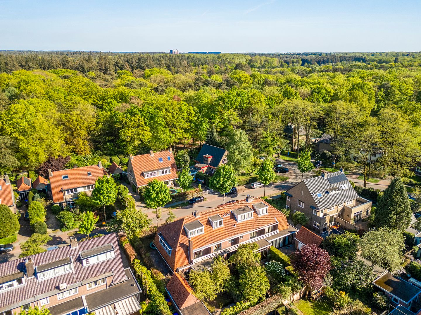 Foto 49 van Parklaan 11