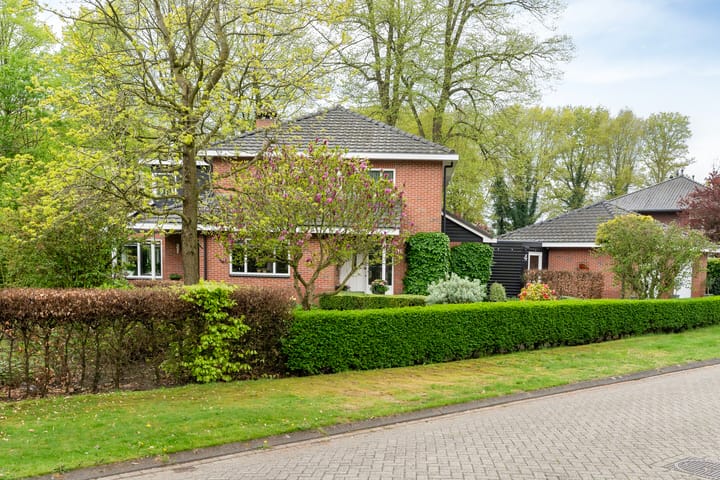 Foto 2 van de Spil 4