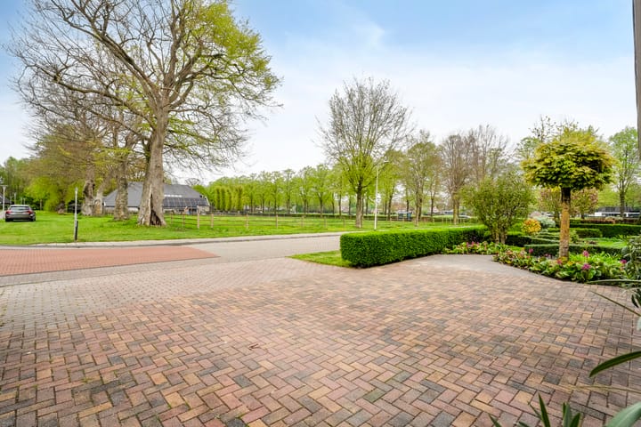 Foto 6 van de Spil 4