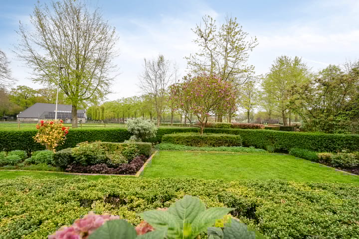 Foto 58 van de Spil 4