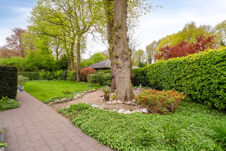 Foto 61 van de Spil 4