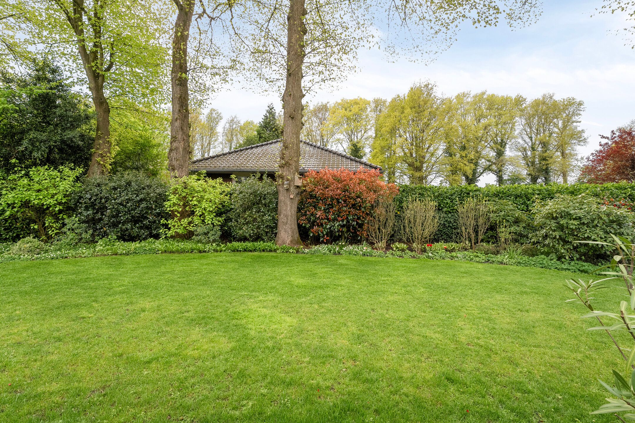 Foto 66 van de Spil 4