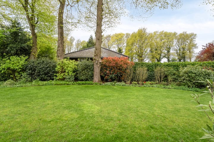 Foto 66 van de Spil 4